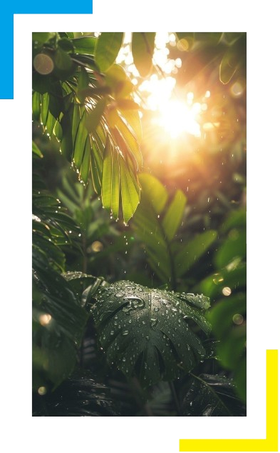 ABOUT_IMAGE-removebg-preview